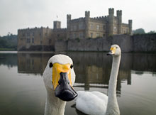 Leeds Castle