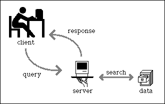 SNYDER | Internet Protocols