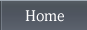 Home button
